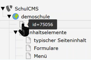 Ansicht der Seiten-ID